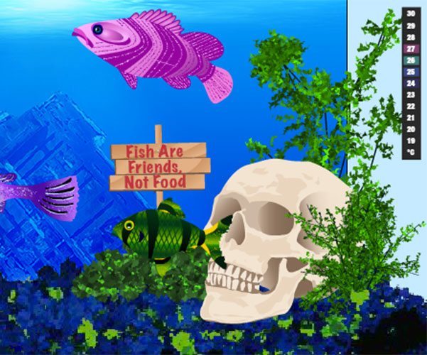 Aquarium Close Up Right
